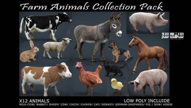 مدلهای حیوانات مزرعه