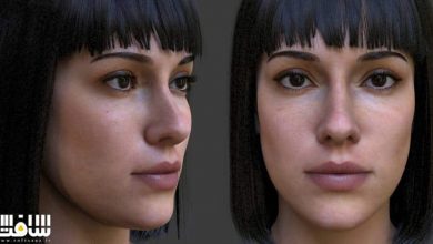 دانلود مدل سه بعدی کاراکتر کامل یک زن