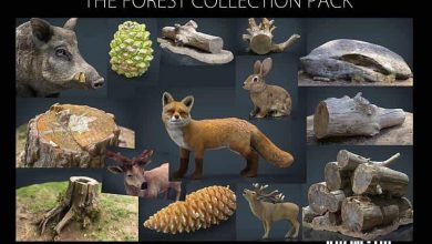 دانلود مجموعه مدل های سه بعدی برای شبیه سازی جنگل