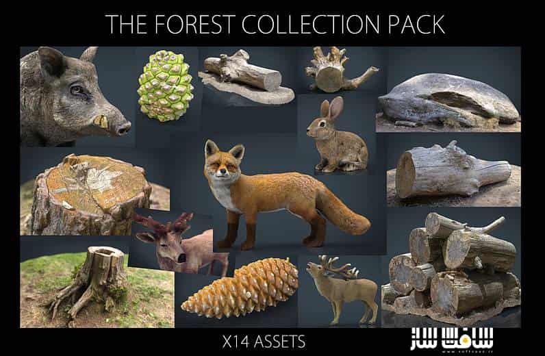 دانلود مجموعه مدل های سه بعدی برای شبیه سازی جنگل