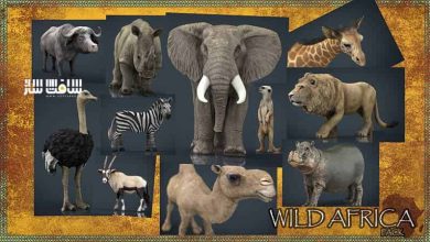 دانلود مجموعه مدل های سه بعدی حیوانات آفریقا