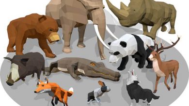 دانلود مجموعه مدل سه بعدی حیوانات آفریقای 01 انیمیت شده