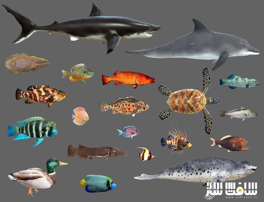 دانلود مدل سه بعدی حیوانات دریایی انیمیت شده شماره 2