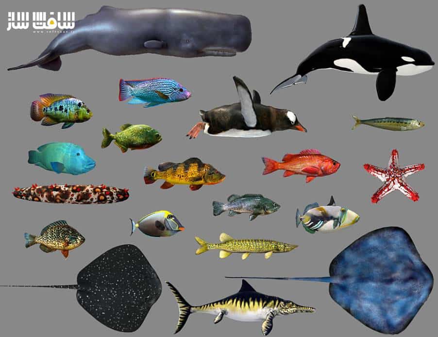 دانلود مدل سه بعدی حیوانات دریایی انیمیت شده شماره 3