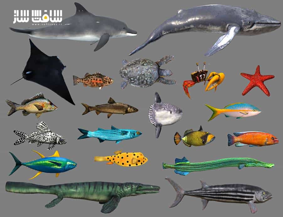 دانلود مدل سه بعدی حیوانات دریایی انیمیت شده شماره 4