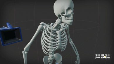 دانلود پروژه Procedural Skeleton Mesh Generation برای آنریل انجین