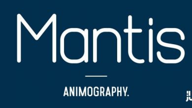 دانلود پلاگین Animography Mantis برای افترافکت