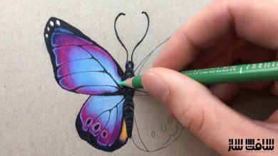 آموزش نقاشی با مداد رنگی مبتدی تا پیشرفته