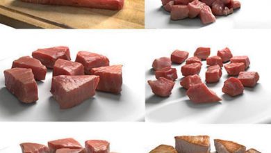 دانلود کالکشن مدل سه بعدی گوشت ماهی تن