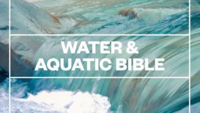 دانلود پکیج افکت صوتی آب Water and Aquatic Bible