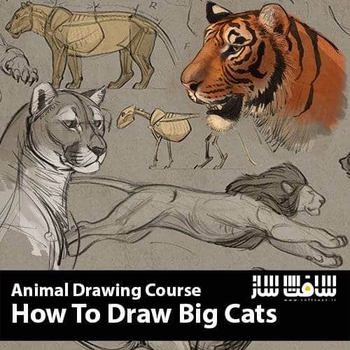 آموزش نحوه طراحی و ترسیم گربه های بزرگ