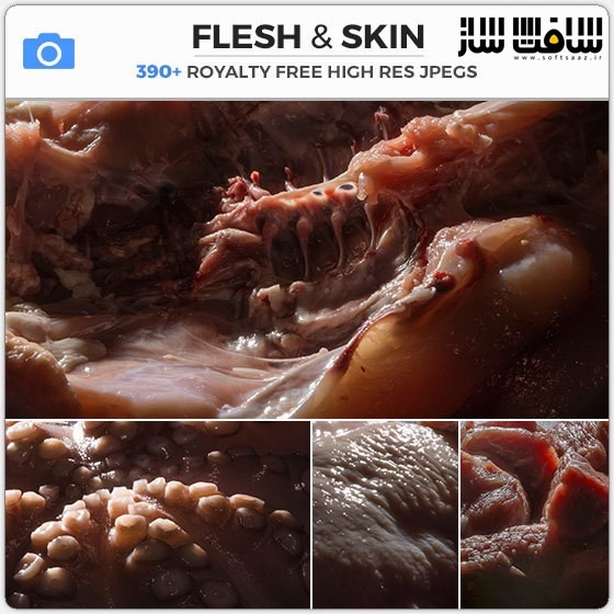دانلود مجموعه تصاویر رفرنس از پوست گوشت