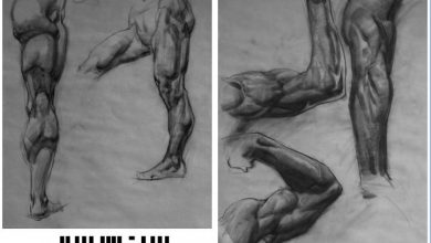تمرکز بر آناتومی : بازوها و پاها با Erik Gist