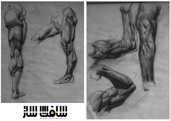تمرکز بر آناتومی : بازوها و پاها با Erik Gist