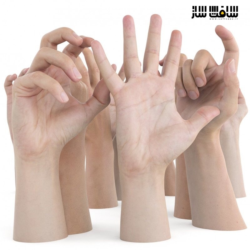 مجموعه مدلهای دست مردانه از 3D SCAN STORE