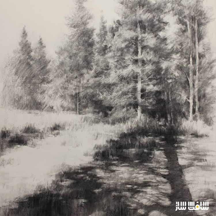 نقاشی منظره با ذغال از روی عکس توسط Ben M Young