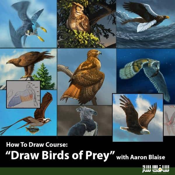 آموزش طراحی پرندگان شکاری با Aaron Blaise