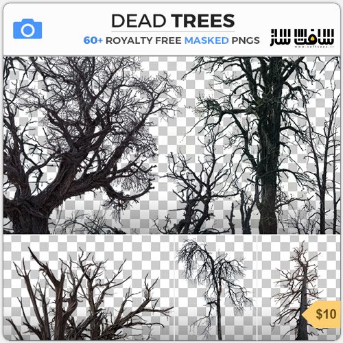 دانلود مجموعه تصاویر رفرنس درختان مرده