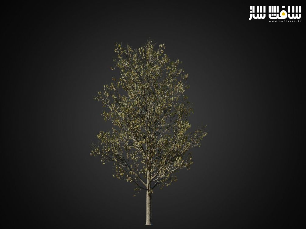 دانلود مدل سه بعدی درخت HeliosVegetation vol.1