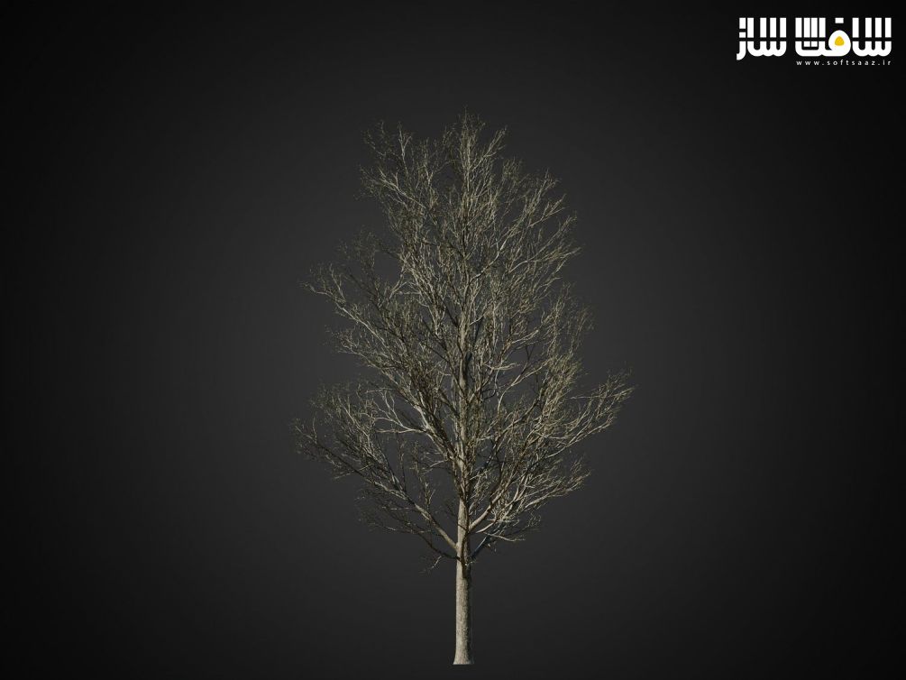دانلود مدل سه بعدی درخت HeliosVegetation vol.1