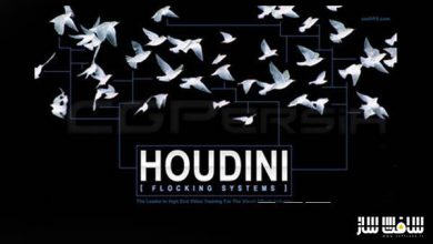 آموزش سیستم Flocking در نرم افزار Houdini