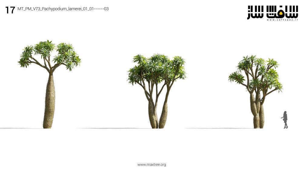 دانلود مدل سه بعدی گیاهان Maxtree – Plant Models Vol.73