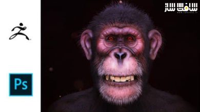 آموزش ساخت شامپانزده واقعی در Zbrush