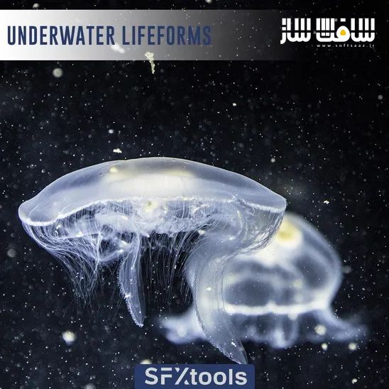 دانلود پکیج افکت صوتی زندگی زیر آب
