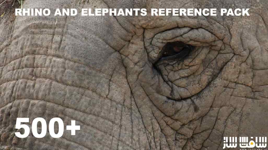 دانلود 500 تصویر رفرنس کرگدن و فیل از Theo Baudoin 