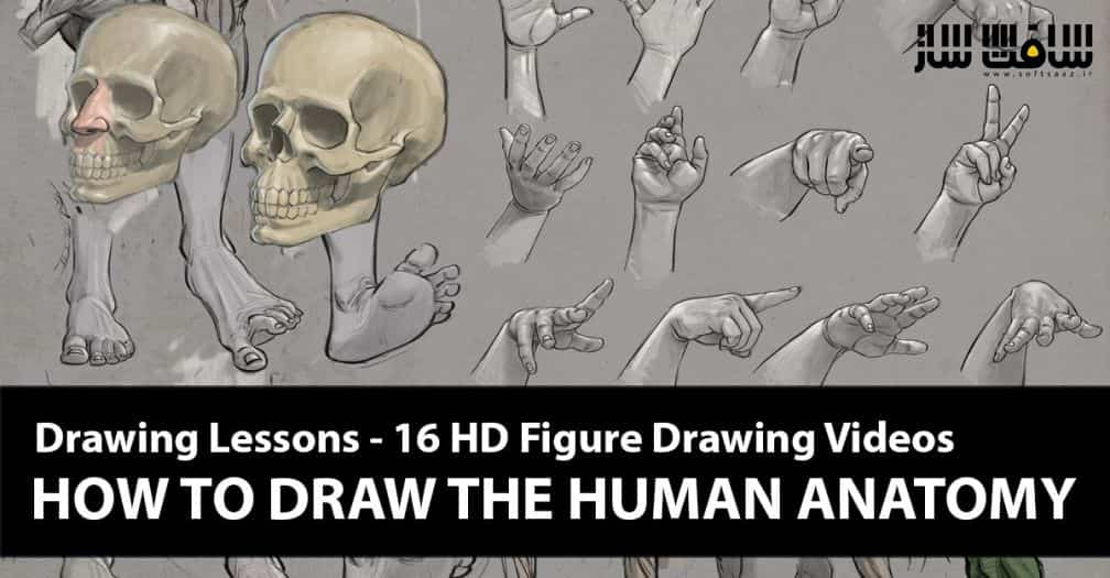 چگونه طراحی کنیم: ترسیم آناتومی انسان توسط آرون بلیز