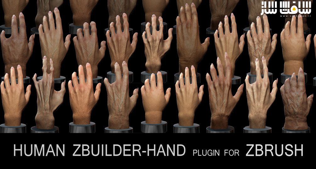 دانلود پلاگین Human Zbuilder - Hand برای ZBrush