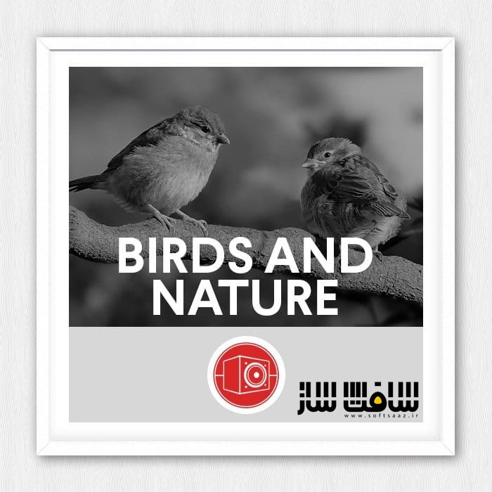 دانلود پکیج افکت صوتی پرندگان و طبیعت
