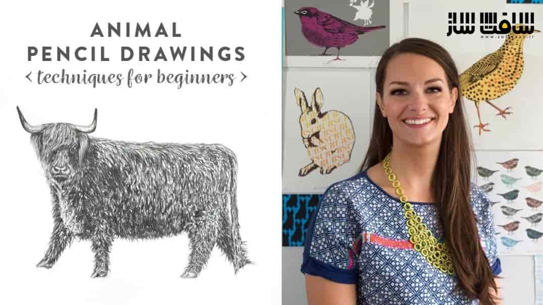 نقاشی با مداد برای طراحی حیوانات : تکنیک هایی برای مبتدیانی