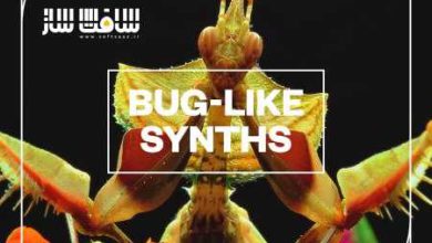 دانلود پکیج افکت صوتی Bug-Like Synths