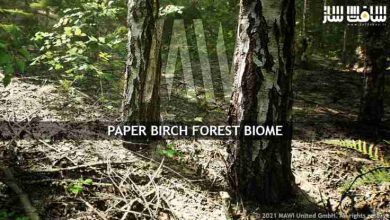 دانلود پروژه بیوم جنگل درخت توس برای آنریل انجین