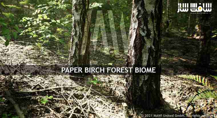 دانلود پروژه بیوم جنگل درخت توس برای آنریل انجین