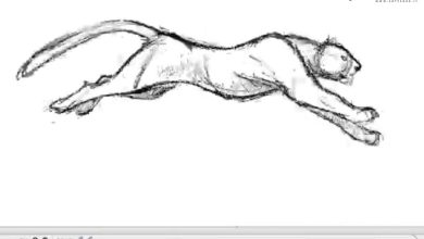 آموزش نحوه انیمیت سیکل دویدن حیوان چهار پا با Aaron Blaise