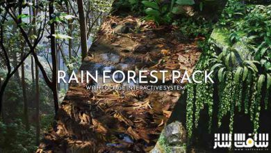دانلود پروژه جنگل بارانی برای آنریل انجین