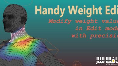 دانلود پلاگین Handy Weight Edit برای بلندر