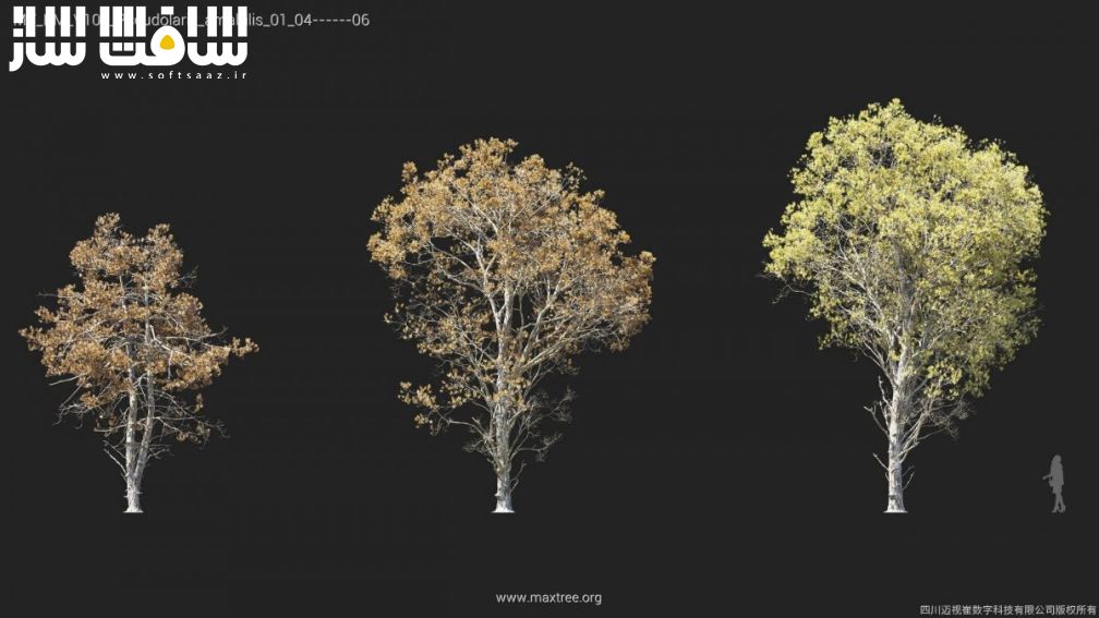 دانلود مدل سه بعدی درختان Maxtree – Plant Models Vol.108