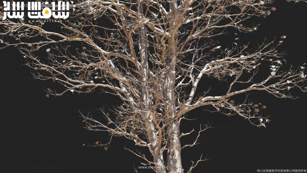 دانلود مدل سه بعدی درختان Maxtree – Plant Models Vol.108