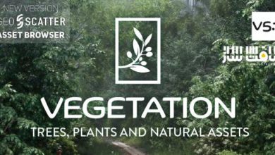 دانلود پلاگین Tree Vegetation v5.1 برای بلندر