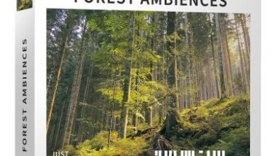 دانلود پکیج افکت صوتی محیط های جنگلی