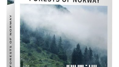 دانلود پکیج افکت صوتی جنگل های نروژ