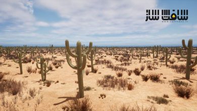 آموزش ساخت بازی واقعی Cactus Optimize با Speedtree برای UE
