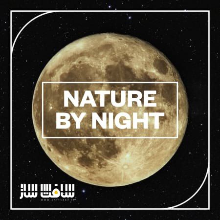 دانلود پکیج افکت صوتی طبیعت در شب
