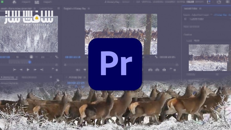 آموزش ویرایش ویدیو برای مبتدیان در Premiere Pro