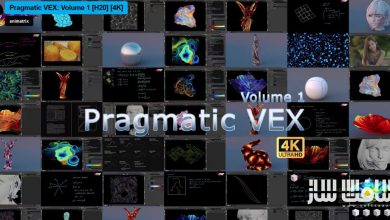 دوره پراگمتیک وکس PRAGMATIC VEX در هودینی 20