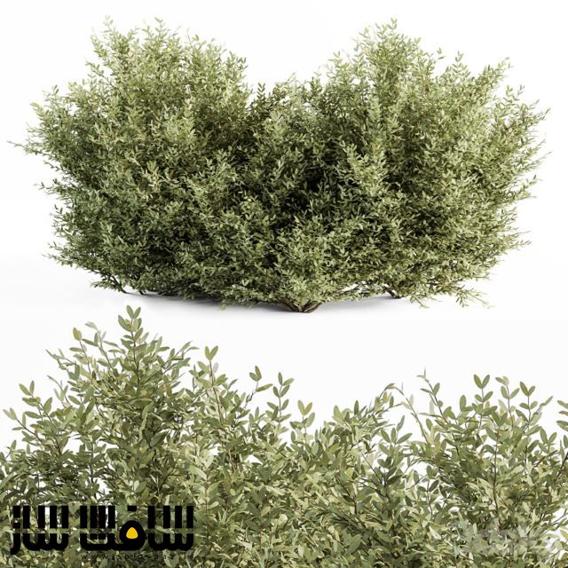 دانلود مدلهای پرو 3dsky کالکشن شماره 539 سافت ساز