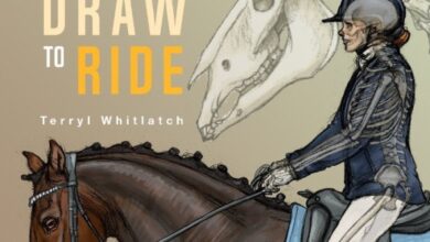 ورکشاپ Draw to Ride
